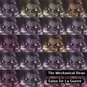 The Mechancial Bean Album Cover copy